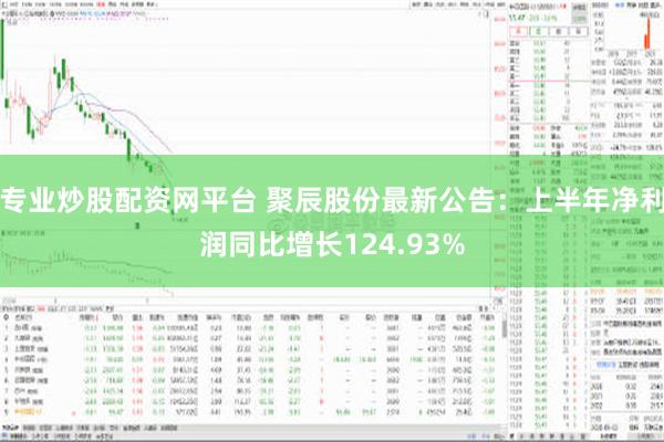 专业炒股配资网平台 聚辰股份最新公告：上半年净利润同比增长124.93%