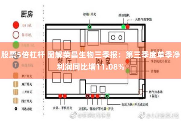 股票5倍杠杆 图解荣昌生物三季报：第三季度单季净利润同比增11.08%