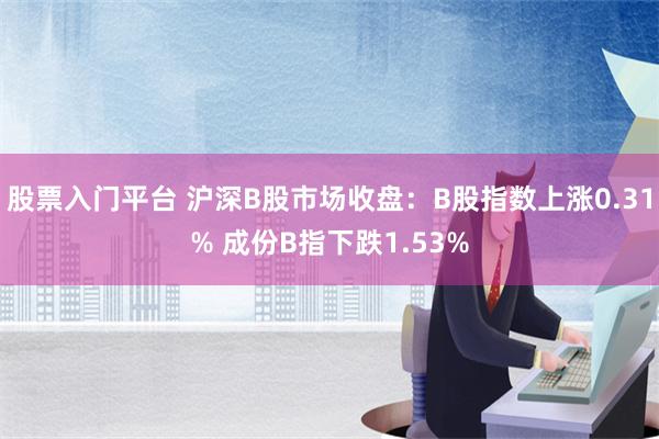 股票入门平台 沪深B股市场收盘：B股指数上涨0.31% 成份B指下跌1.53%