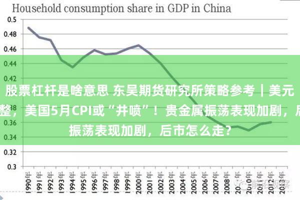 股票杠杆是啥意思 东吴期货研究所策略参考｜美元指数大幅调整，美国5月CPI或“井喷”！贵金属振荡表现加剧，后市怎么走？