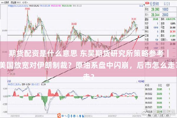 期货配资是什么意思 东吴期货研究所策略参考｜美国放宽对伊朗制裁？原油系盘中闪崩，后市怎么走？