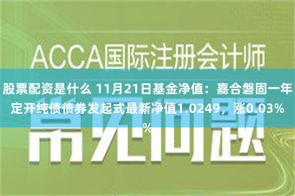 股票配资是什么 11月21日基金净值：嘉合磐固一年定开纯债债券发起式最新净值1.0249，涨0.03%