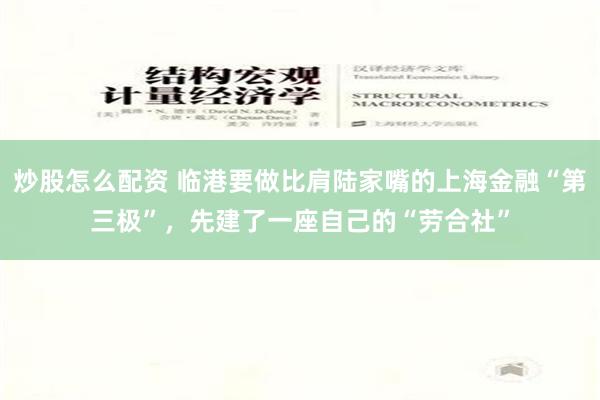 炒股怎么配资 临港要做比肩陆家嘴的上海金融“第三极”，先建了一座自己的“劳合社”